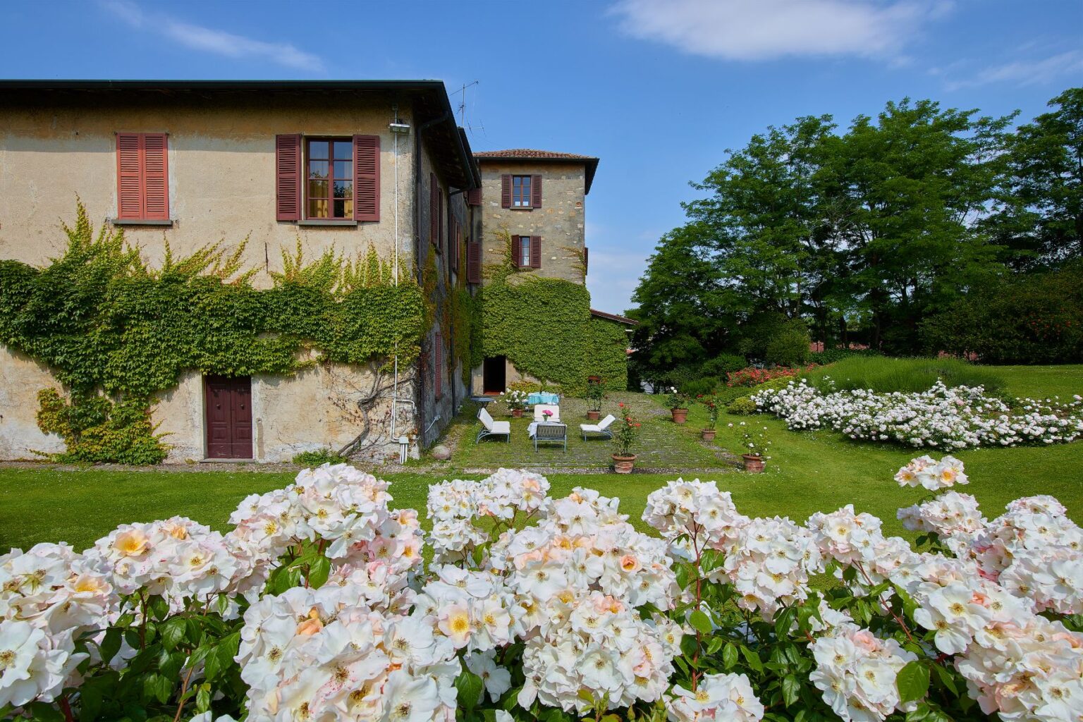 Historic villa surrounded by blooming white and pink roses, featuring a lush green garden, ivy-covered walls, and outdoor seating areas on a sunny day. | Only on SopranoVillas
