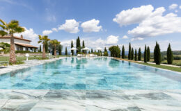 Luxurious infinity pool surrounded by palm trees and cypress trees, with a scenic view of the countryside and a clear blue sky, perfect for relaxation and outdoor living.