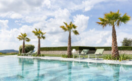Serene outdoor swimming pool surrounded by palm trees and sun loungers, under a bright blue sky with fluffy clouds, showcasing a luxurious relaxation area in a scenic landscape.