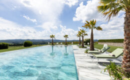 Luxurious infinity pool with palm trees, overlooking rolling hills under a blue sky with clouds. Sun loungers are placed beside the pool, creating a tranquil outdoor relaxation space. Perfect for vacation or resort imagery.