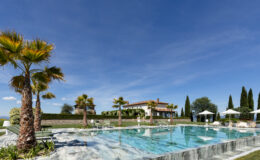 Luxurious outdoor pool surrounded by palm trees and lounge chairs, with a scenic villa and blue sky in the background, perfect for a relaxing getaway.