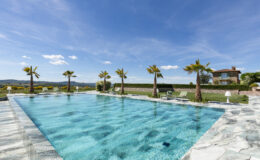 Stunning outdoor swimming pool surrounded by palm trees, with clear blue water reflecting the sky, set against a picturesque landscape and a charming stone house in the background. Ideal for luxury vacation rentals or serene retreats.