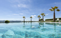 Infinity pool surrounded by palm trees, with a clear blue sky and distant mountains in the background, creating a serene and luxurious atmosphere. Ideal for relaxation and outdoor leisure activities.