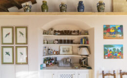 Interior view of a cozy living space featuring a decorative shelf with framed bird illustrations, a well-stocked bar area with various bottles, and colorful artwork depicting market scenes on the walls, all set against a warm, rustic backdrop.