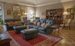 Cozy living room featuring dark leather sofas with striped cushions, an ornate mirror, decorative paintings, a wooden bookshelf filled with books, and a warm lighting ambiance. The space is enhanced by a red area rug and indoor plants, creating a welcoming atmosphere.