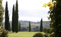 Lush green landscape featuring tall cypress trees against a scenic backdrop of rolling hills and vineyards under a bright sky. Ideal for showcasing the beauty of nature and outdoor spaces.