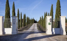 Gravel driveway leading to an elegant entrance gate flanked by tall cypress trees, under a clear blue sky. The gate features a sign reading 