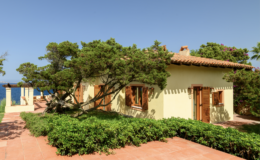 Charming seaside cottage surrounded by lush greenery and vibrant flowers, featuring rustic wooden windows and a tiled roof, with a clear blue ocean visible in the background.