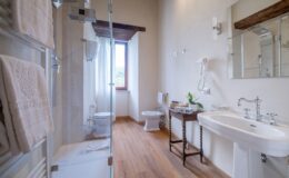 Modern bathroom featuring a glass shower, elegant vanity with vintage-style fixtures, a toilet, and natural light from a window. Soft towels are displayed, and a small table holds toiletries and a decorative plant, enhancing the tranquil atmosphere.