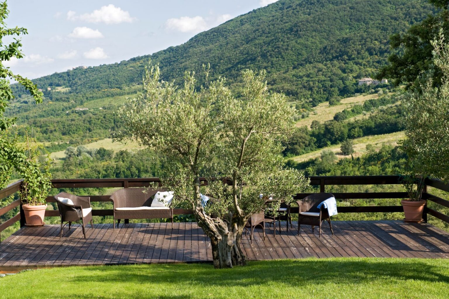 Scenic outdoor terrace with comfortable seating, surrounded by lush greenery and rolling hills, featuring a prominent olive tree and a wooden deck, ideal for relaxation and enjoying nature. | Only on SopranoVillas