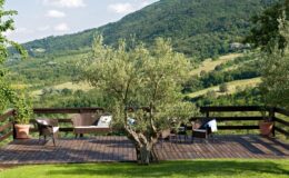 Scenic outdoor terrace with comfortable seating, surrounded by lush greenery and rolling hills, featuring a prominent olive tree and a wooden deck, ideal for relaxation and enjoying nature.
