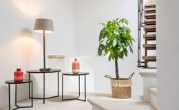Modern interior design featuring a stylish lamp, decorative vases, and a lush potted plant in a well-lit staircase area. The scene showcases minimalist furniture with a blend of natural and contemporary elements, creating an inviting atmosphere.