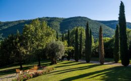 Scenic view of a lush garden with cypress trees and vibrant flowers, set against a backdrop of rolling green hills under a clear blue sky. The image features wooden benches inviting relaxation in a tranquil outdoor setting.