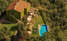 Aerial view of a charming green-covered house with a swimming pool, surrounded by lush gardens and trees, perfect for a serene getaway.
