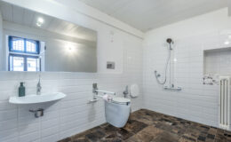 Modern bathroom featuring a sleek wall-mounted sink, a toilet with grab bars, a shower area with a handheld showerhead, and decorative towels. The space is bright with natural light from a window, complemented by white tiled walls and dark stone flooring. Ideal for accessibility and contemporary design.