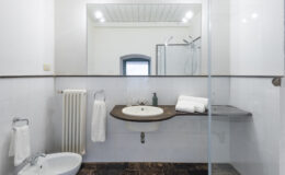 Modern bathroom interior featuring a bidet, sink with wooden countertop, towels, and a glass shower enclosure. The design emphasizes simplicity and functionality with neutral colors and ample natural light.
