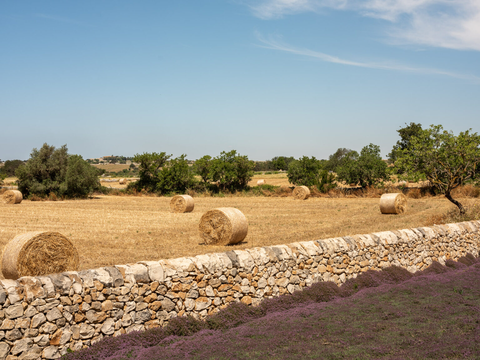 Rural landscape featuring rolled hay bales on a sunlit field, bordered by a stone wall and lush greenery under a clear blue sky. | Only on SopranoVillas