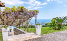 Scenic view of a garden pathway leading to the ocean, featuring a wooden pergola adorned with wisteria blossoms, lush greenery, and palm plants in a tranquil setting.