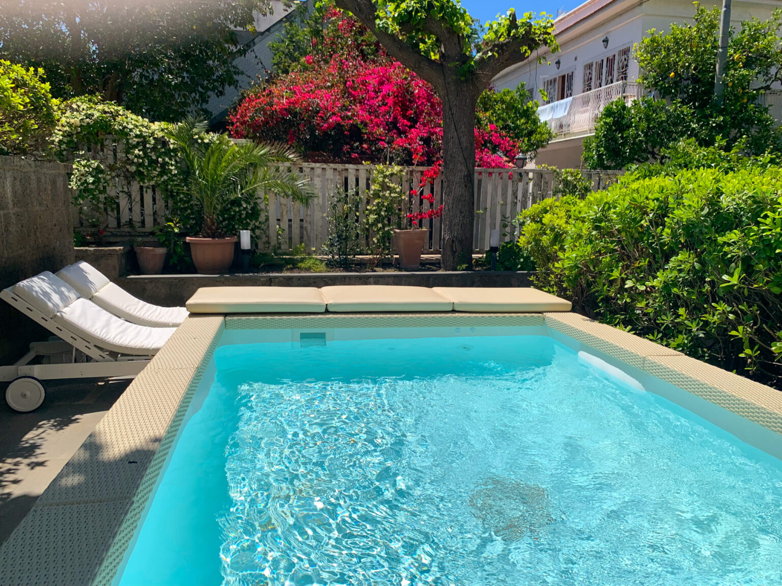 Luxurious backyard pool surrounded by vibrant greenery and blooming bougainvillea, featuring comfortable lounge chairs for relaxation in a sunny outdoor setting. | Only on SopranoVillas