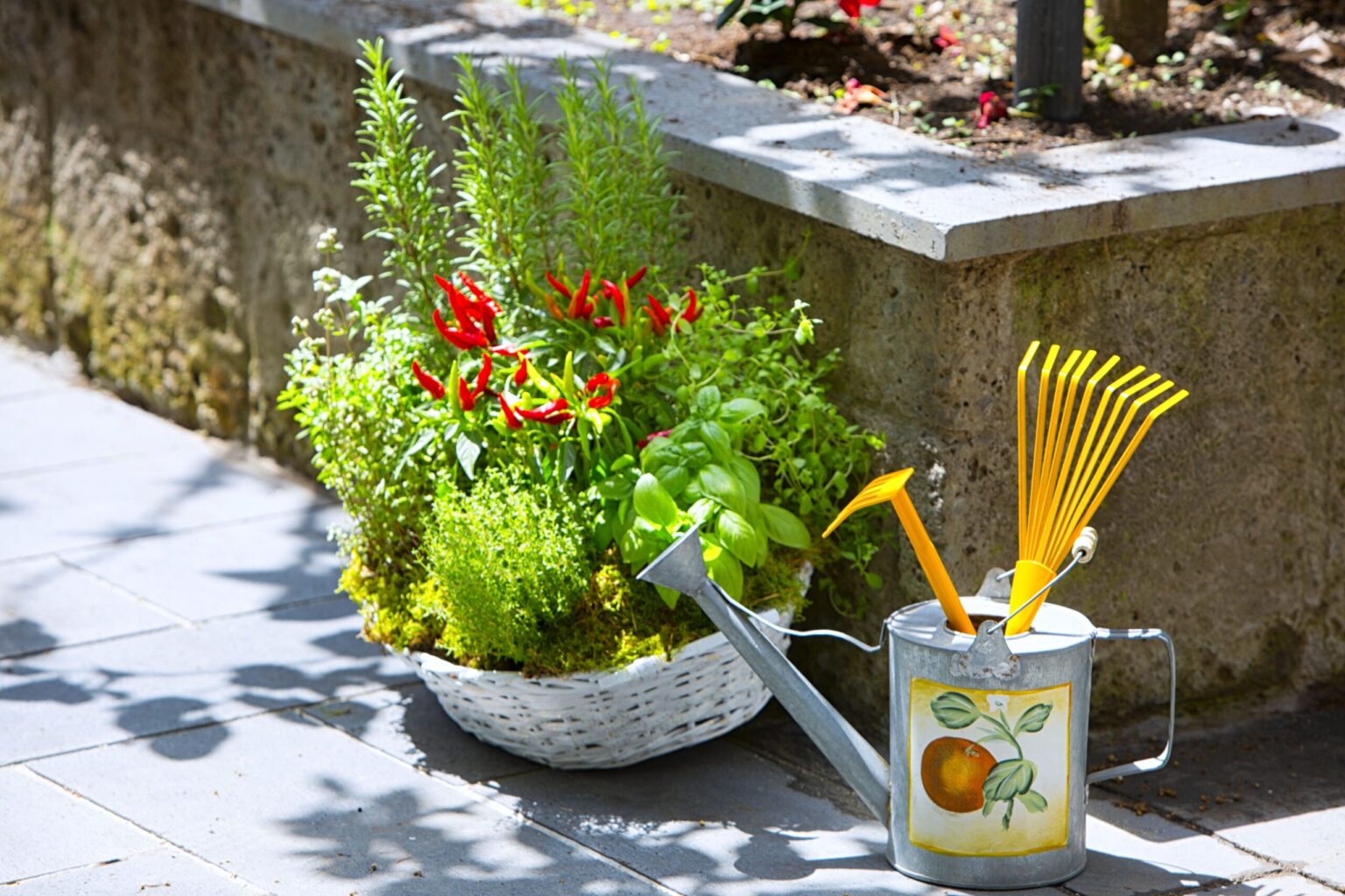 Colorful flowers in a basket beside a watering can and gardening tools on a sunny patio, showcasing a vibrant garden setting. | Only on SopranoVillas