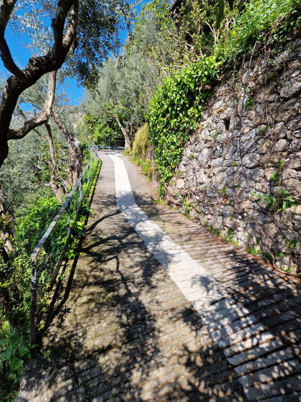 Scenic pathway lined with greenery and stone walls, perfect for leisurely walks in a tranquil outdoor setting. | Only on SopranoVillas