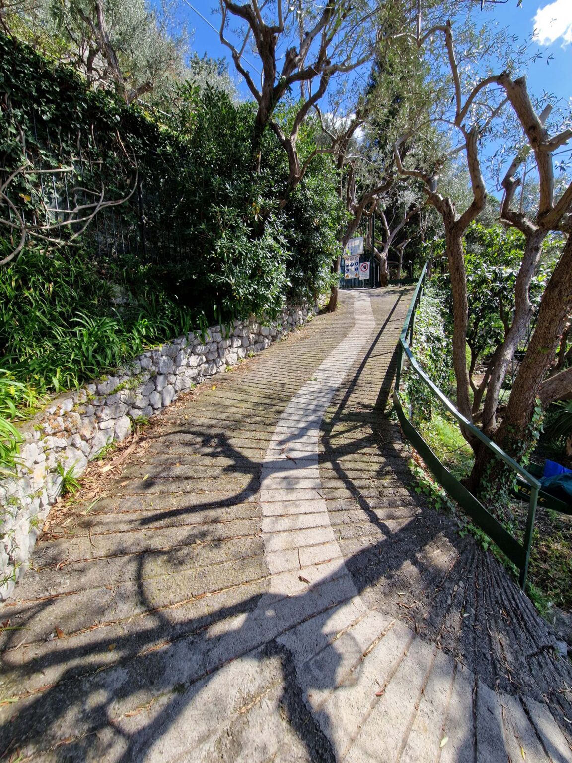 Winding pathway bordered by a stone wall and lush greenery, with shadows cast by trees, creating a serene outdoor atmosphere. | Only on SopranoVillas