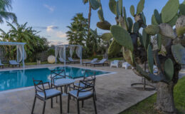Luxurious outdoor swimming pool surrounded by palm trees and cacti, featuring comfortable lounge chairs and elegant canopies for relaxation, ideal for a serene getaway.