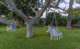 Hammock swings hanging from a tree in a lush green garden, surrounded by various plants and a stone wall in the background, creating a serene outdoor relaxation space.