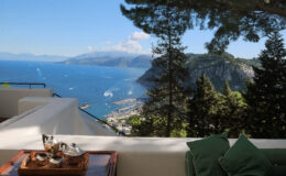 Scenic view of a coastal landscape from a terrace, featuring lush green trees, a tranquil sea, and distant mountains under a clear blue sky, ideal for relaxation and outdoor living.