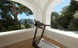 Treadmill positioned in a bright, airy room with large arched windows showcasing a scenic view of mountains and lush greenery. Ideal for home workouts with a serene outdoor backdrop.