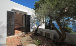 Cozy outdoor view of a modern villa featuring an olive tree, open black shutters, and a serene landscape. The image showcases a brick patio and air conditioning units, highlighting a blend of nature and contemporary design.