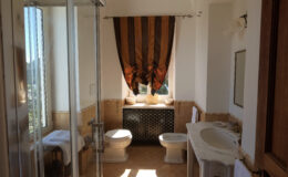 Spacious and elegantly designed bathroom featuring a glass shower, modern toilet fixtures, and decorative curtains. Natural light enhances the warm color palette and stylish decor.