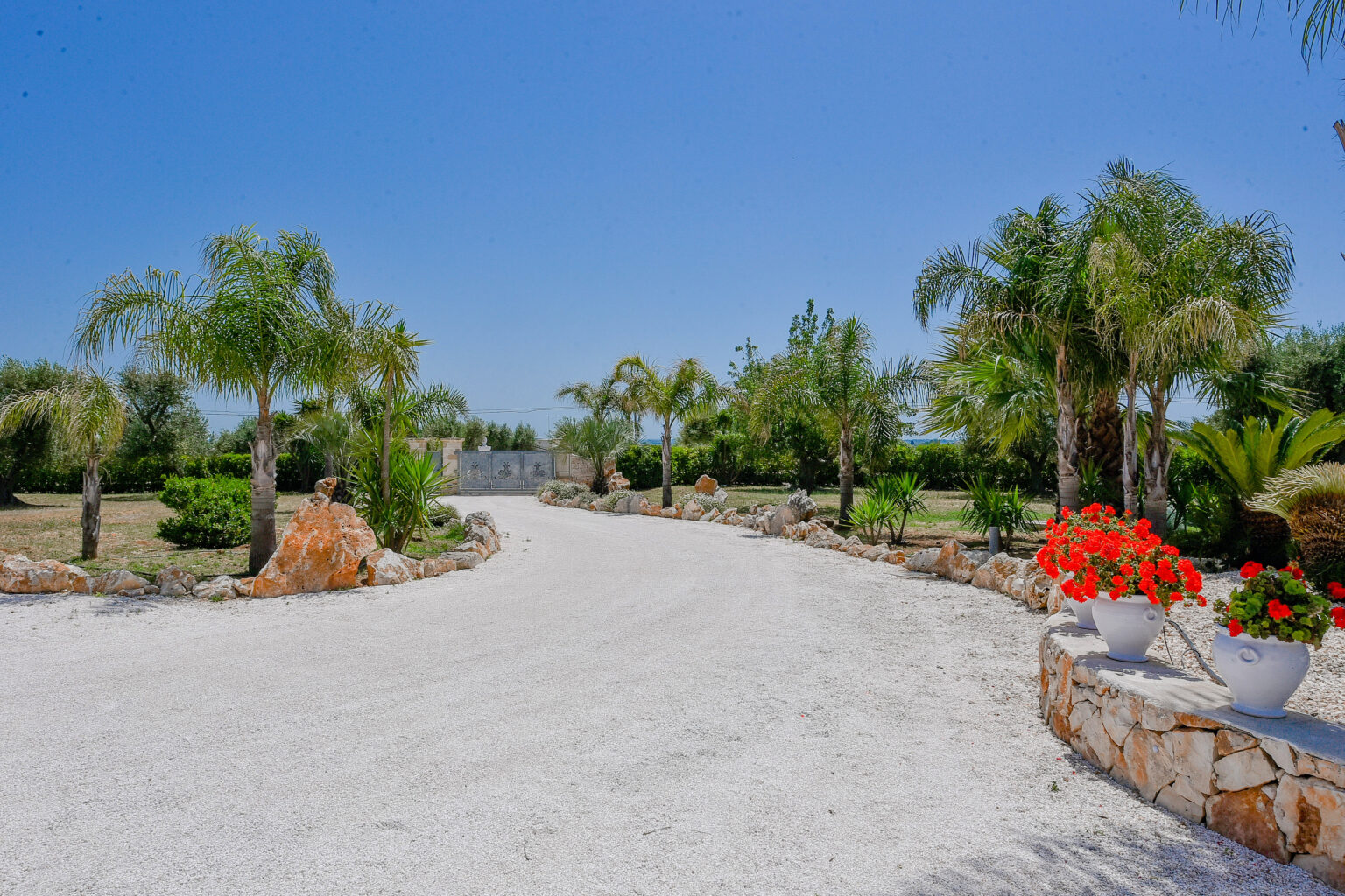 Scenic pathway lined with palm trees and vibrant flower pots, leading through a landscaped garden under a clear blue sky. | Only on SopranoVillas