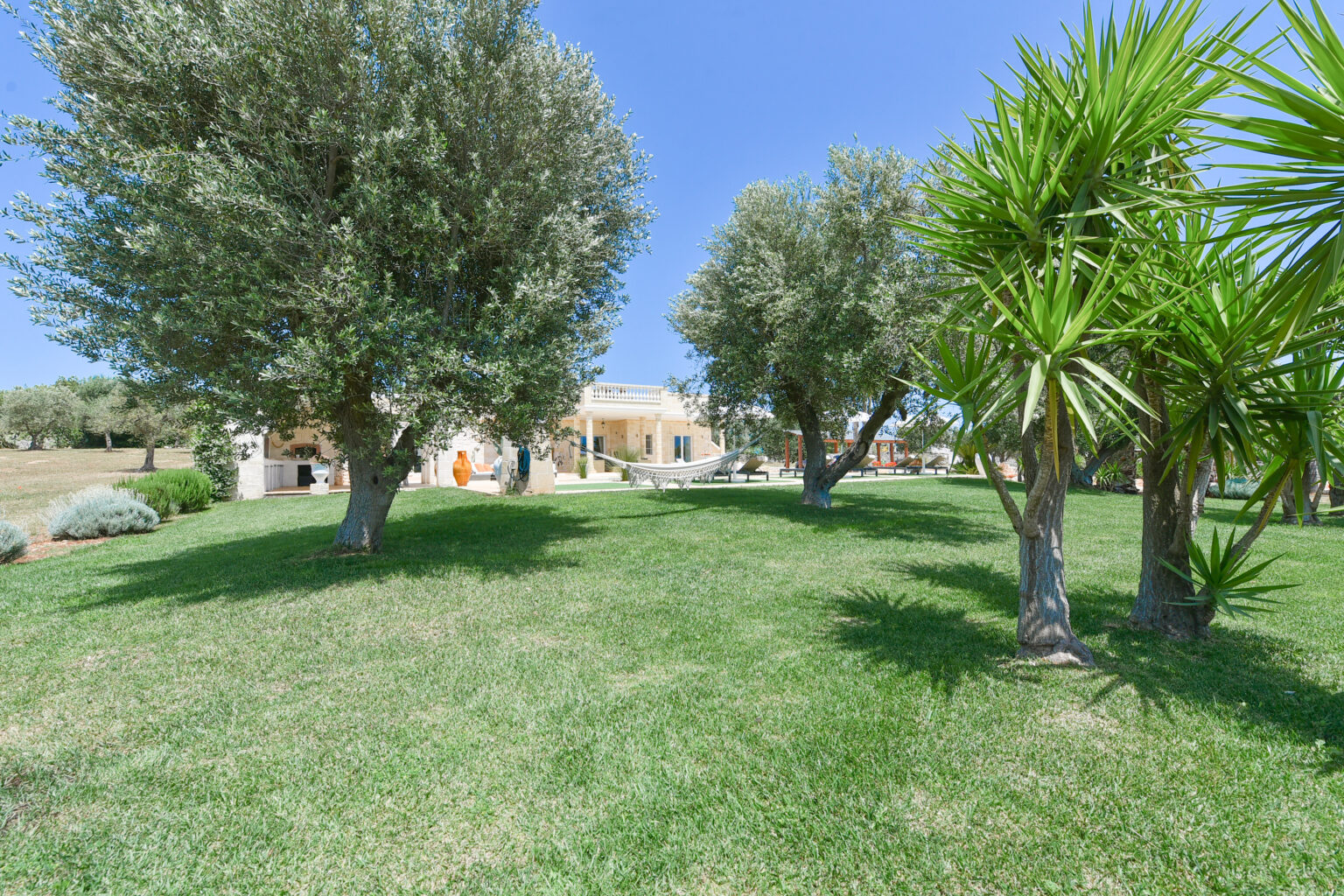 Lush green garden with olive trees and tropical plants, showcasing a serene outdoor space near a modern villa under a clear blue sky. A hammock is visible, inviting relaxation in a tranquil setting. | Only on SopranoVillas