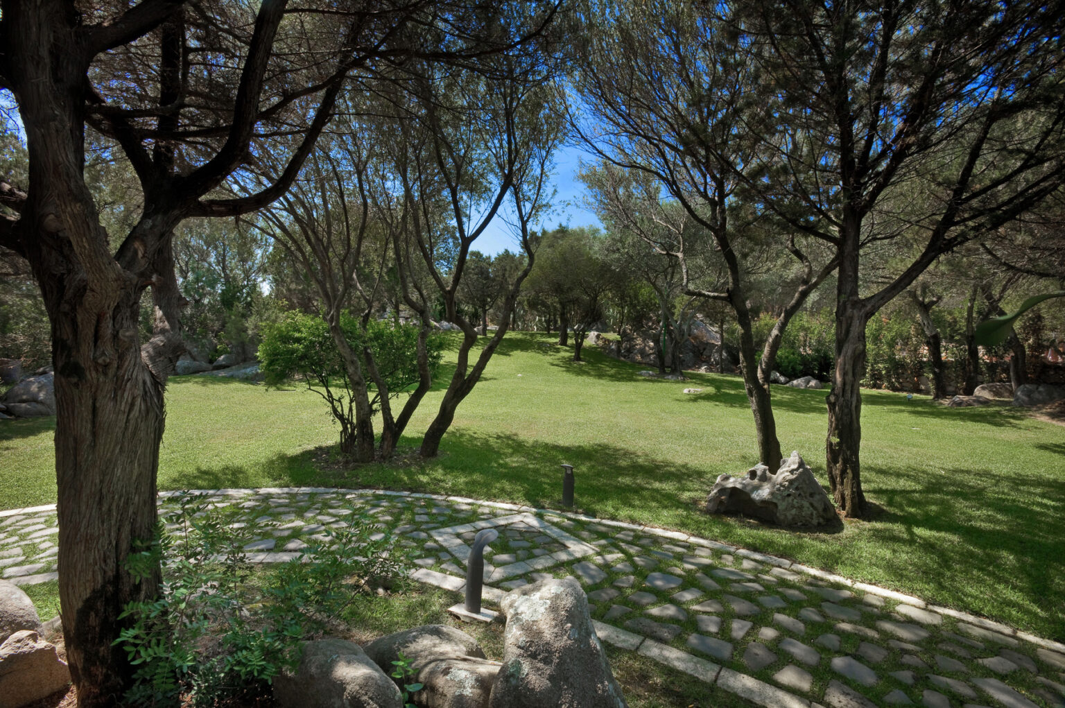 Lush green park with olive trees and a stone pathway under a clear blue sky, ideal for outdoor relaxation and nature walks. | Only on SopranoVillas