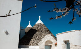  | Only on SopranoVillas