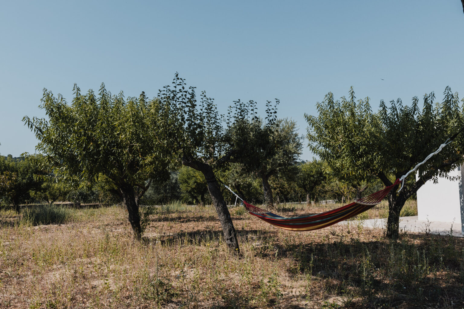 Hammock hanging between fruit trees in a serene outdoor setting under a clear blue sky, surrounded by a natural landscape. Ideal for relaxation and enjoying nature. | Only on SopranoVillas