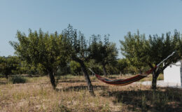  | Only on SopranoVillas
