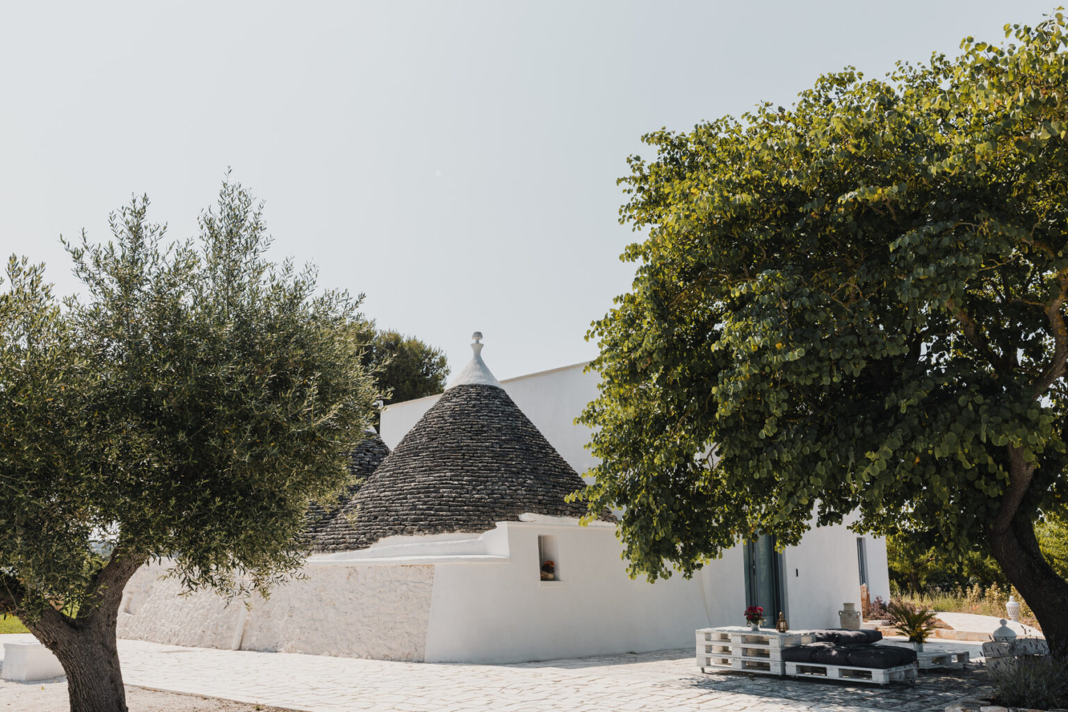 Trullo house surrounded by olive trees in a sunny landscape, showcasing traditional Apulian architecture in Italy. | Only on SopranoVillas