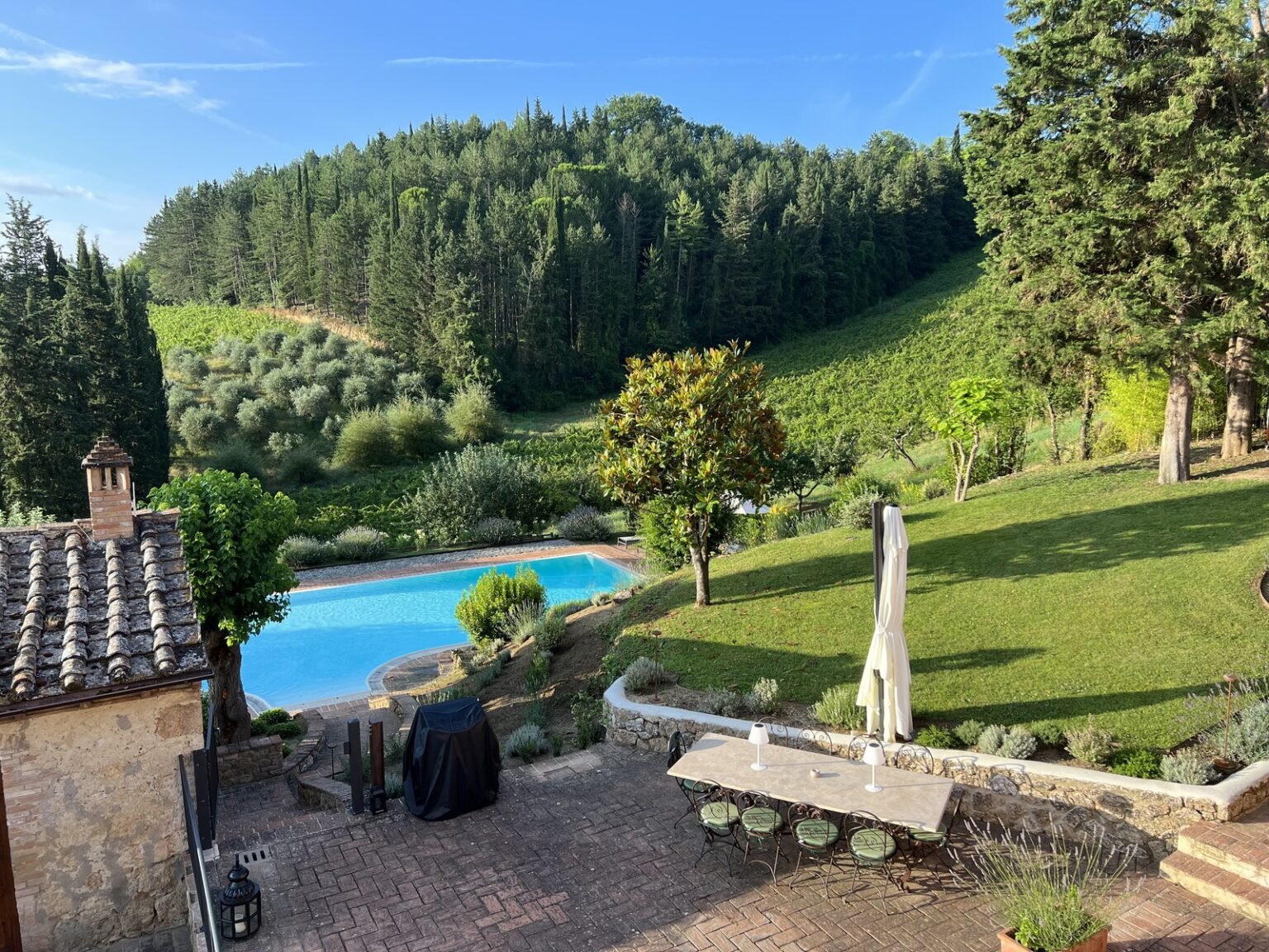 Scenic view of a serene outdoor space featuring a swimming pool surrounded by lush greenery, including vineyards and trees, with a stone patio and outdoor dining area in the foreground. Ideal for relaxation and enjoying nature. | Only on SopranoVillas