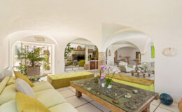 Spacious living room with arched doorways, featuring a cozy yellow sofa, a wooden coffee table adorned with decorative stones, and lush indoor plants, creating a bright and inviting atmosphere.