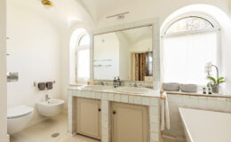 Modern bathroom interior featuring a spacious vanity with a large mirror, elegant fixtures, a freestanding bathtub, and natural light streaming through arched windows, complemented by minimalist decor and green plants.