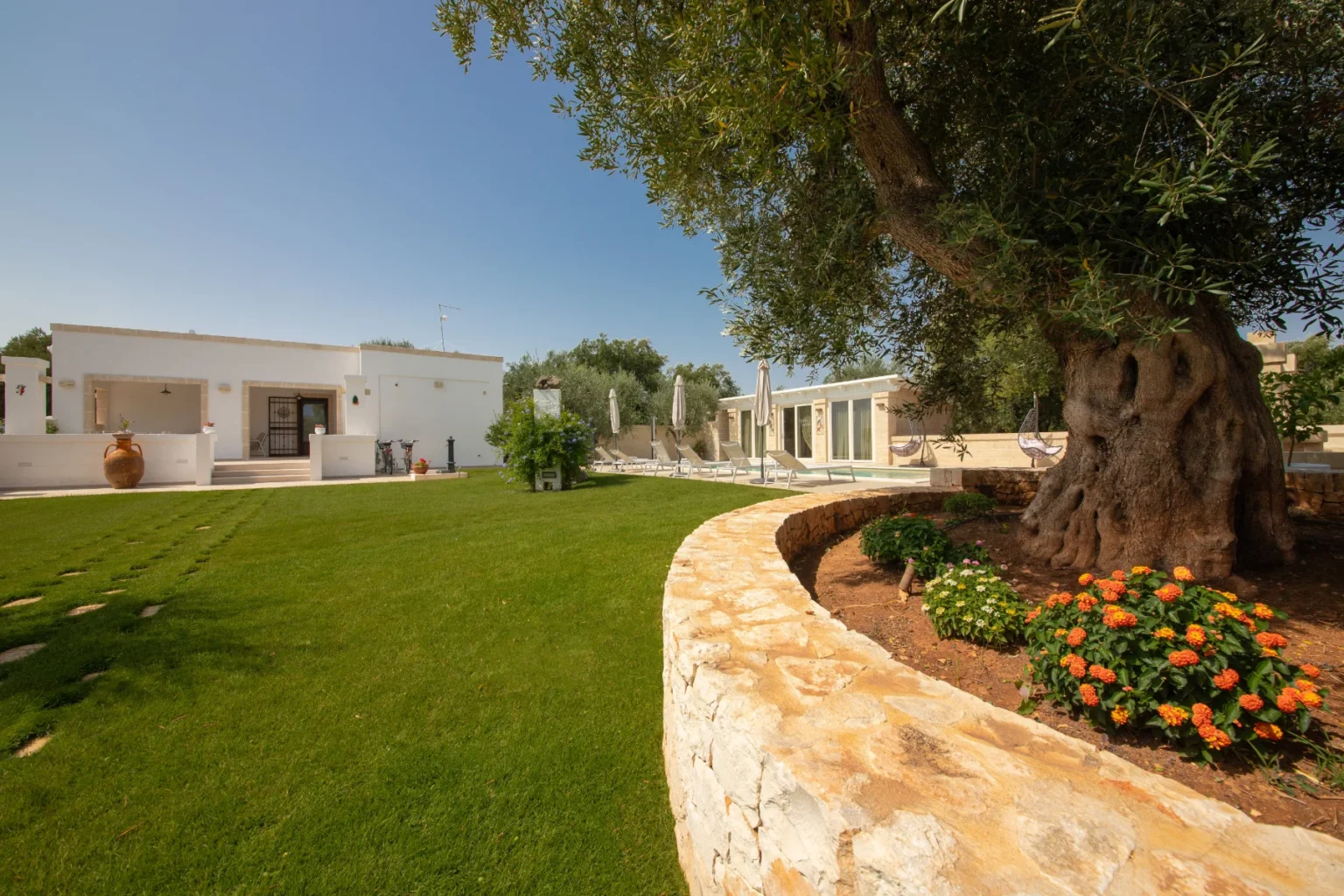 Spacious outdoor area featuring a modern white villa, lush green lawn, and a large olive tree, complemented by flower beds and a stone wall. Sun loungers and umbrellas are visible, creating a relaxing atmosphere. Ideal for vacation rentals or outdoor gatherings. | Only on SopranoVillas