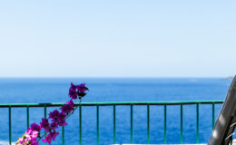 Vibrant purple flowers in a pot on a balcony overlooking a serene blue ocean under a clear sky.