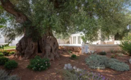  | Only on SopranoVillas