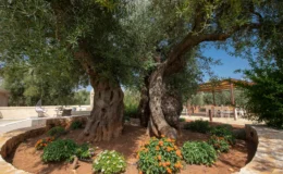  | Only on SopranoVillas