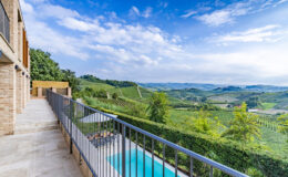Scenic view from a balcony overlooking lush vineyards and a swimming pool, with a clear blue sky and rolling hills in the background.