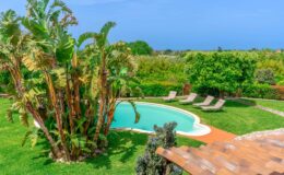 Lush tropical garden featuring a swimming pool surrounded by lounge chairs, with vibrant greenery and a clear blue sky in the background. Ideal for relaxing and enjoying outdoor leisure activities.