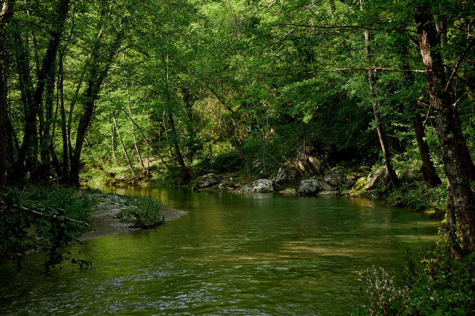 Serene river flowing through a lush green forest, surrounded by tall trees and rocky banks, showcasing the beauty of nature and tranquility. | Only on SopranoVillas