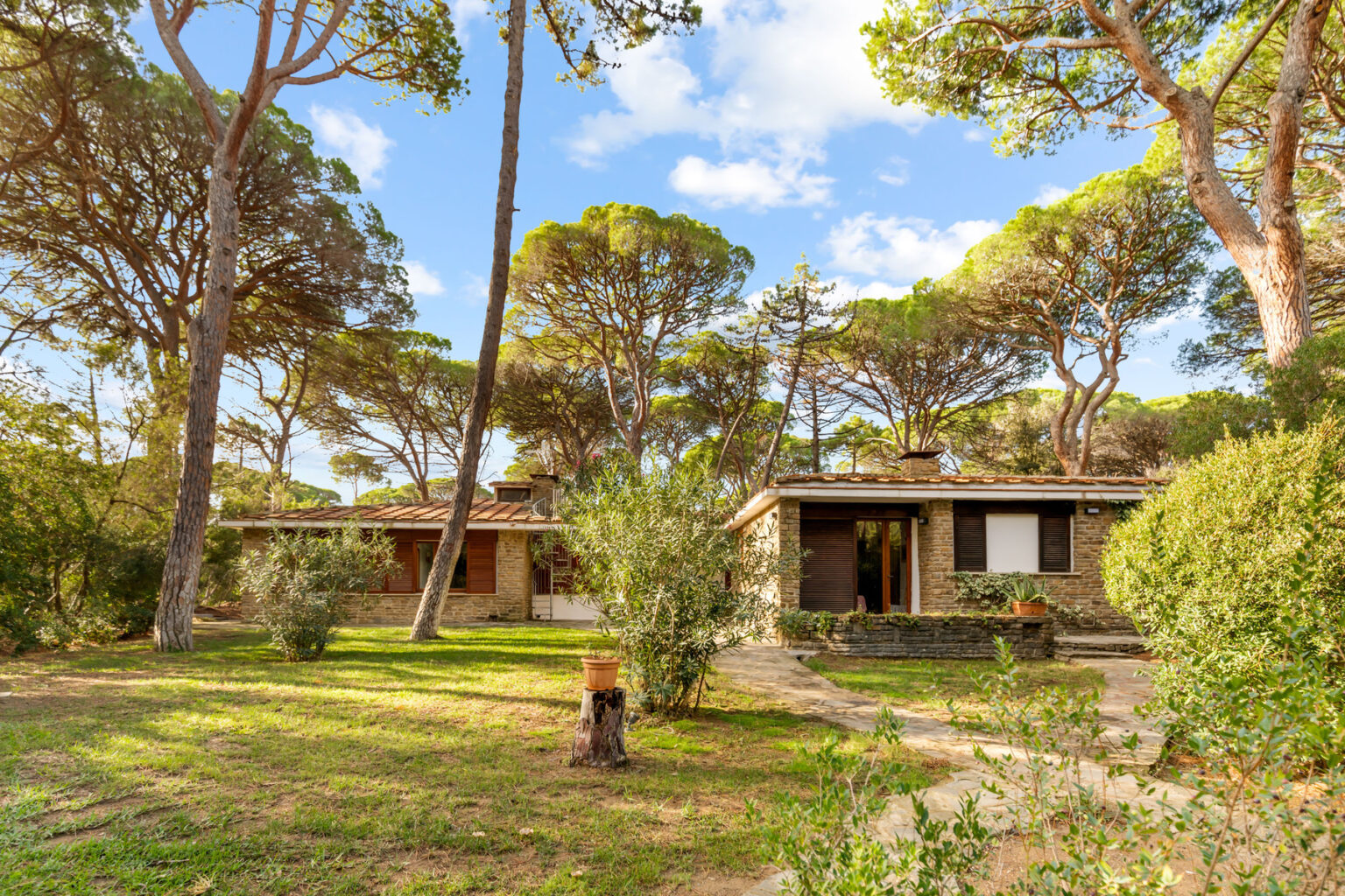 Charming rustic houses surrounded by lush greenery and tall pine trees under a blue sky, ideal for a peaceful getaway. | Only on SopranoVillas